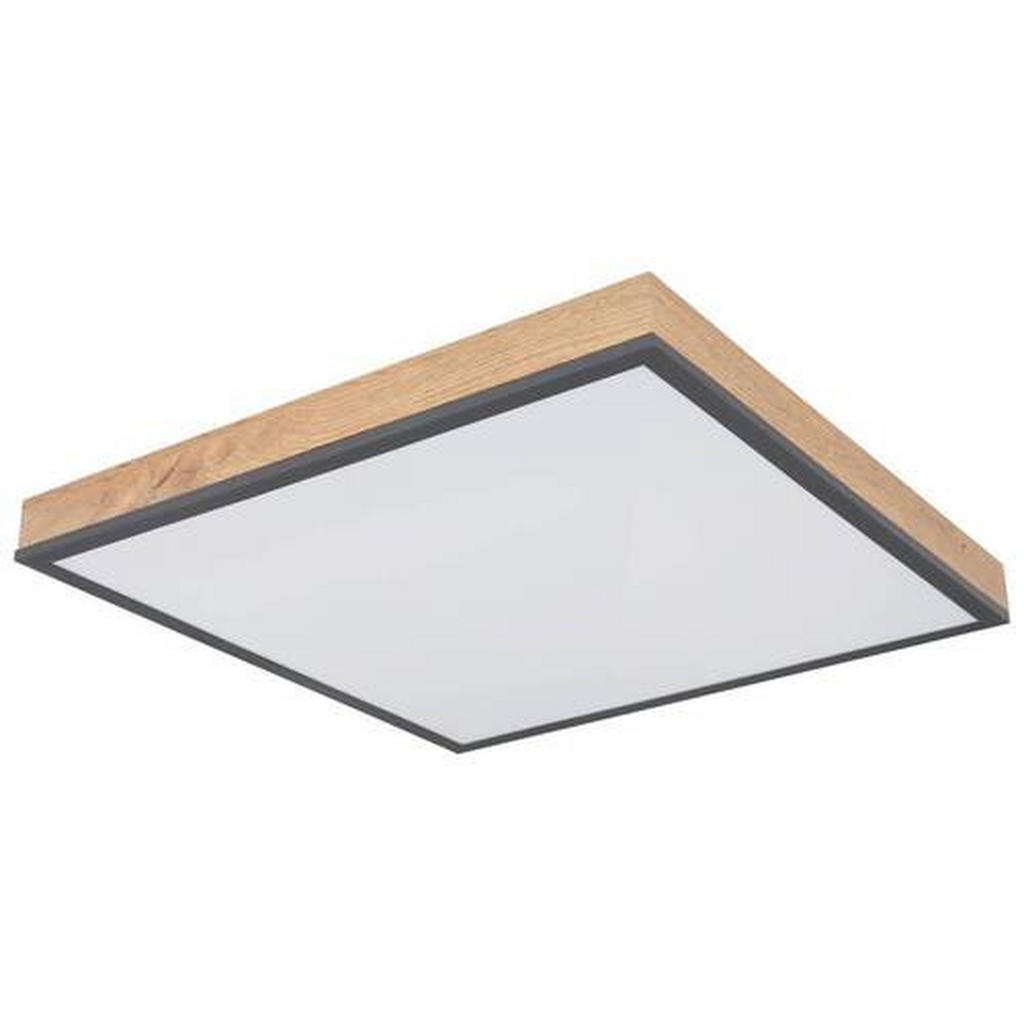 Globo STROPNÍ LED SVÍTIDLO