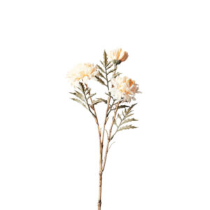 XXXL CHRYZANTÉMA 46 cm