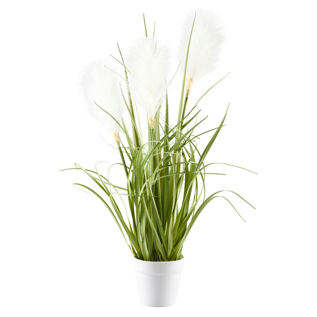 Ambia Home DEKORAČNÍ TRÁVA