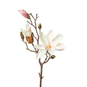 XXXL MAGNOLIE 48 cm