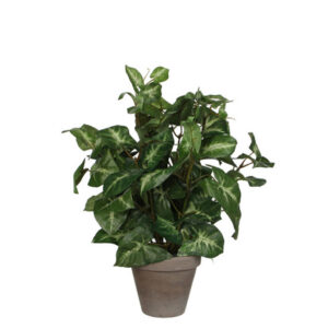 XXXL UMĚLÁ ROSTLINA 35 cm