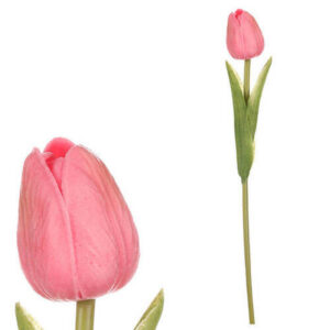 XXXL TULIPÁN 35 cm