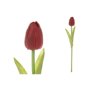 XXXL TULIPÁN 35 cm
