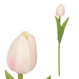 XXXL TULIPÁN 35 cm