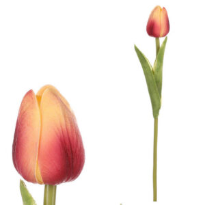 XXXL TULIPÁN 35 cm