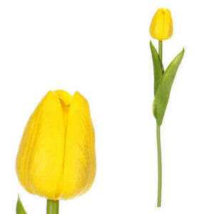 XXXL TULIPÁN 34 cm