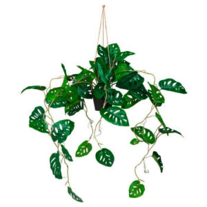 MID.YOU UMĚLÁ ROSTLINA monstera