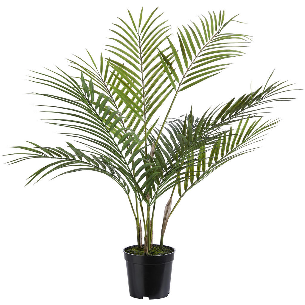XXXL UMĚLÁ ROSTLINA 75 cm